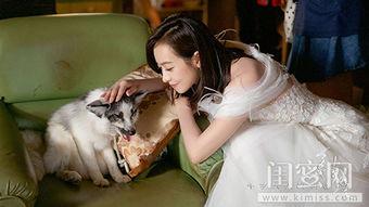 宋茜爆料结局视频,揭秘剧情高潮与感人泪点  第1张